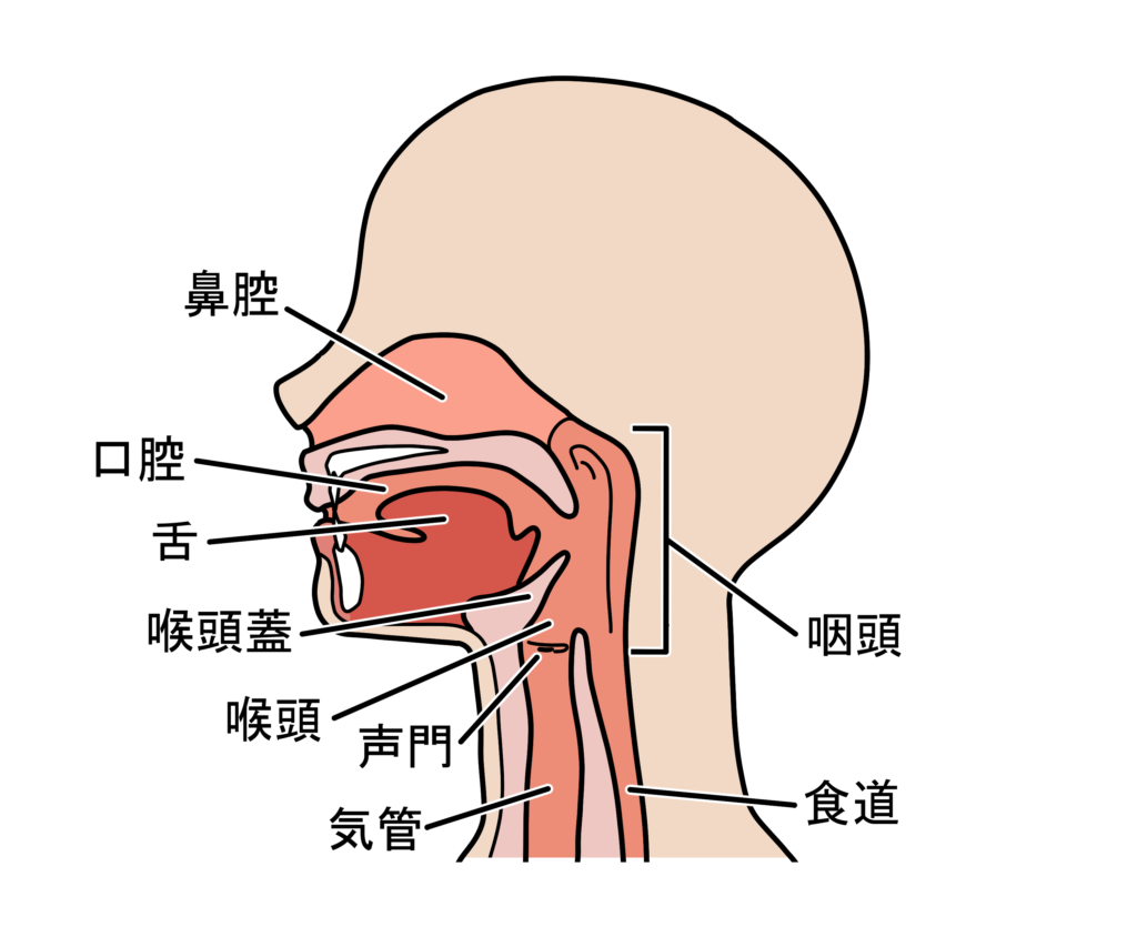 クループ症候群 | 自由になりたい薬剤師の学習ノート